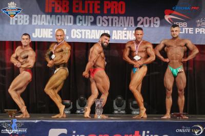 Men's Bodybuilding Up to 80 kg