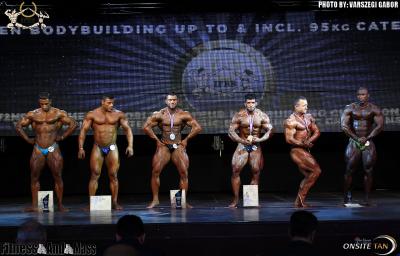 Men's Bodybuilding up to 95 kg
